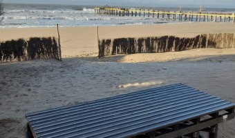 CMO SER LA NUEVA RAMBLA ECOLGICA DE VILLA GESELL?